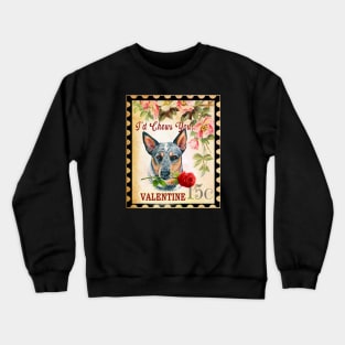 Australian cattle dog Vintage Valentine Funny Dog With Rose Crewneck Sweatshirt